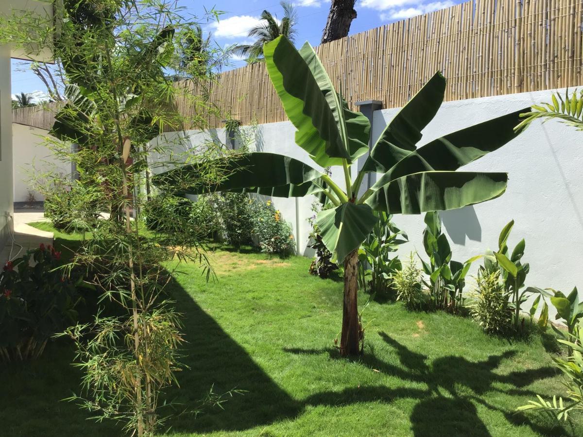 Bamboobeachvilla1 Ac New Oceanfront Pool Sunsetview Garden Kitchen Satellite Starlink Wi-Fi Dimiao エクステリア 写真