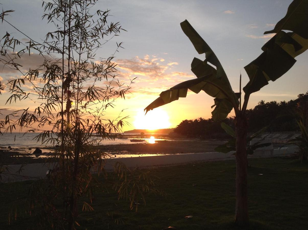 Bamboobeachvilla1 Ac New Oceanfront Pool Sunsetview Garden Kitchen Satellite Starlink Wi-Fi Dimiao エクステリア 写真
