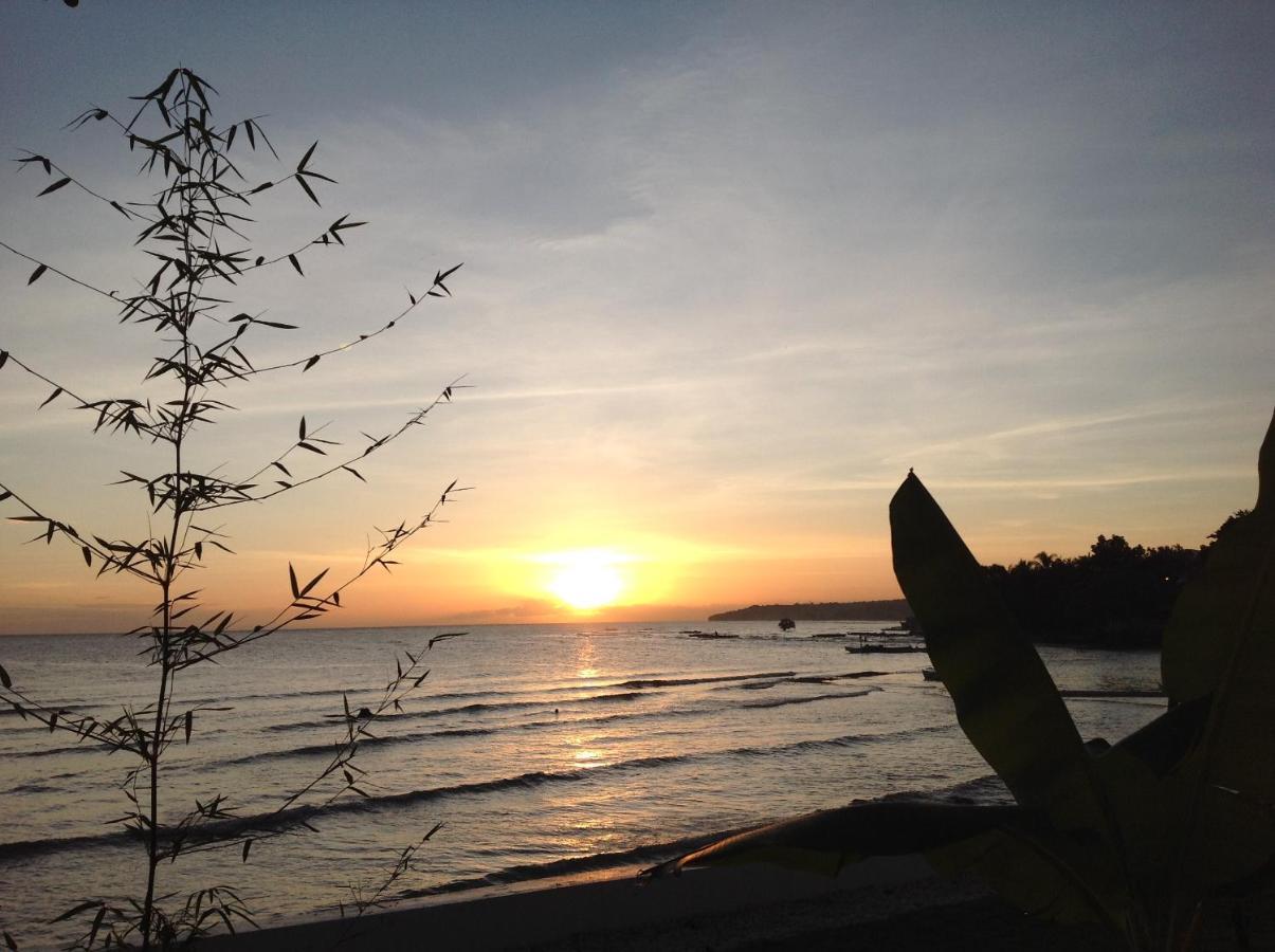 Bamboobeachvilla1 Ac New Oceanfront Pool Sunsetview Garden Kitchen Satellite Starlink Wi-Fi Dimiao エクステリア 写真